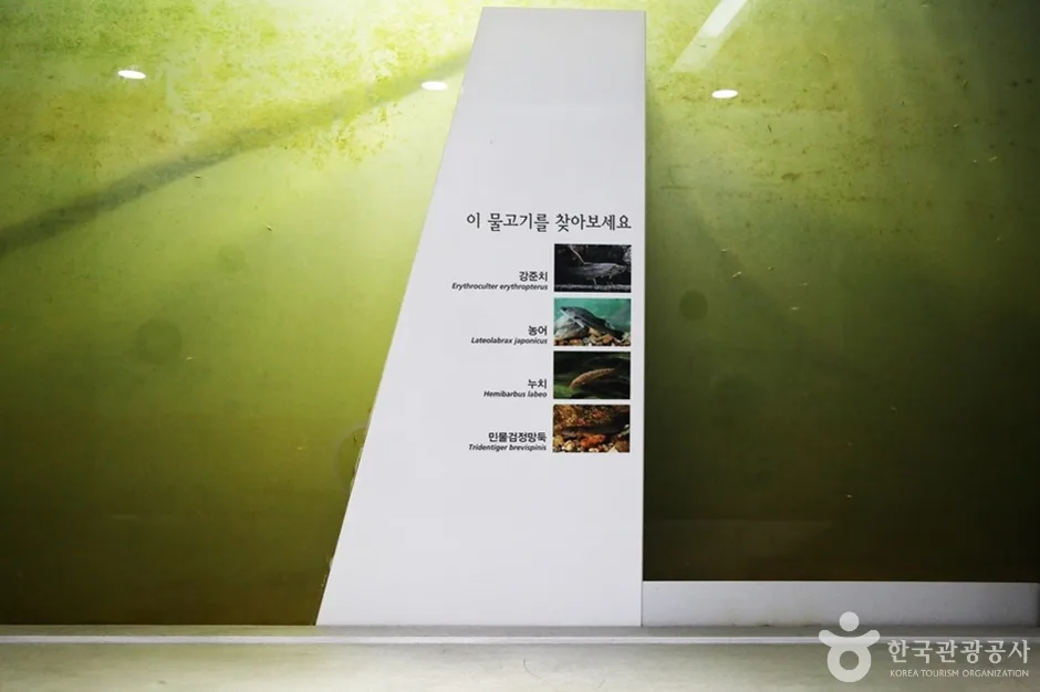 낙조정 (12)
