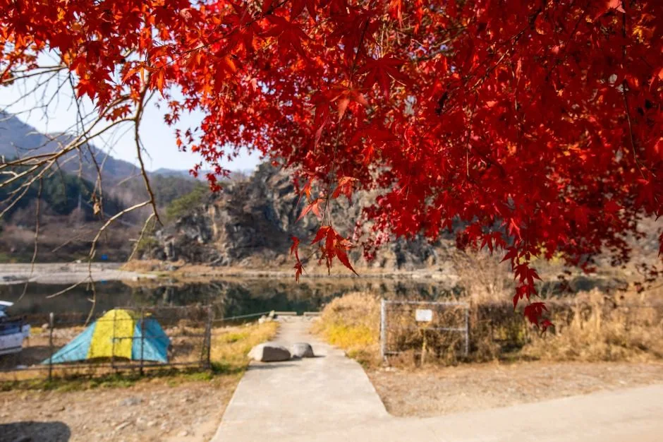 화천_딴산유원지 (1)