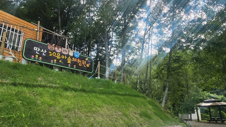 화천_딴산유원지 (4)