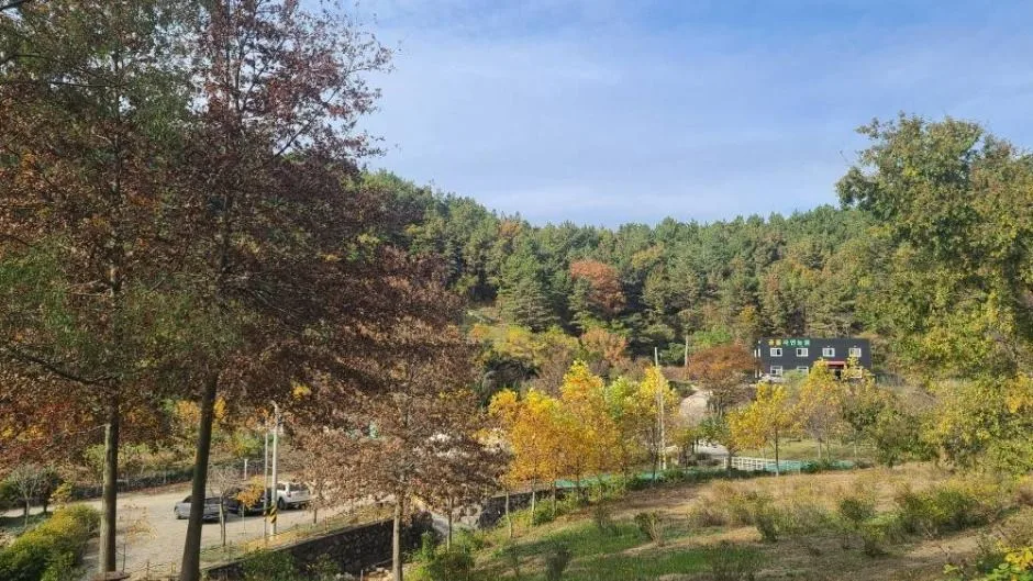 공룡자연농원_전경7
