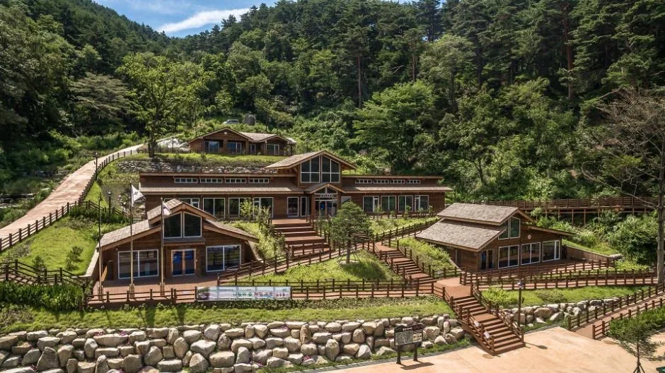 강릉_국립대관령치유의숲 (5)