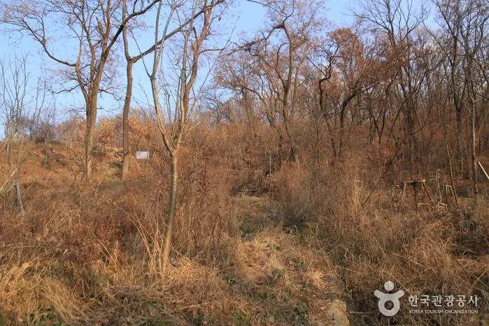 서울_중랑_망우산(서울)01