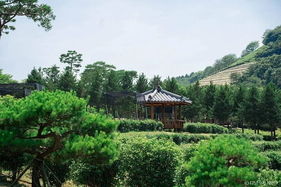 보성 가볼만한곳 보성 여름방학 가족 여행_ 봇재_2-8