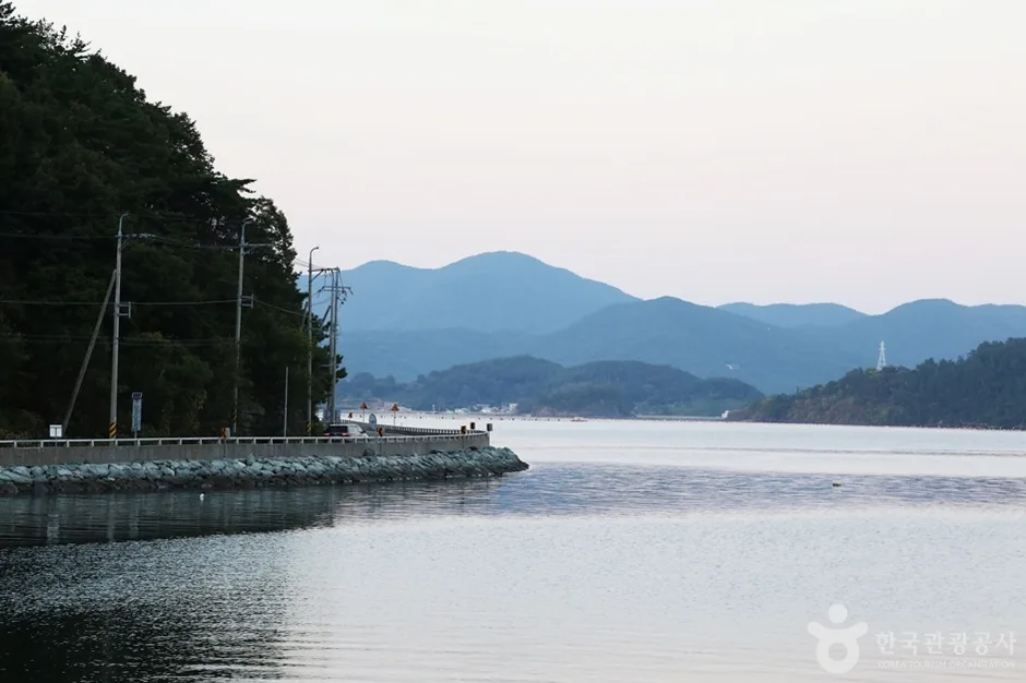 동해 해안길 (5)