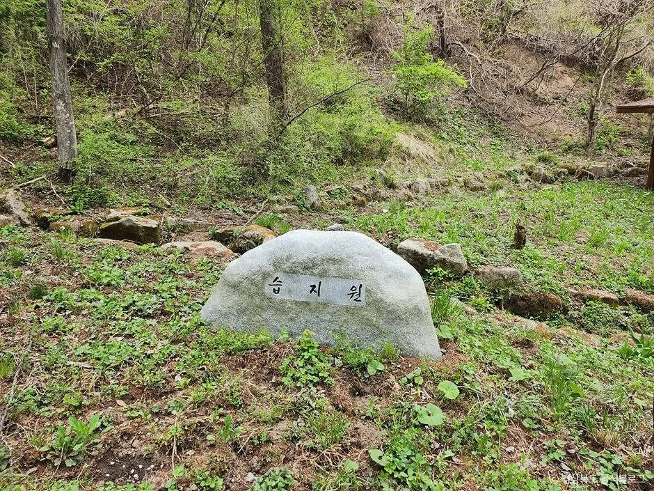 김천_국립김천치유의숲 (9)