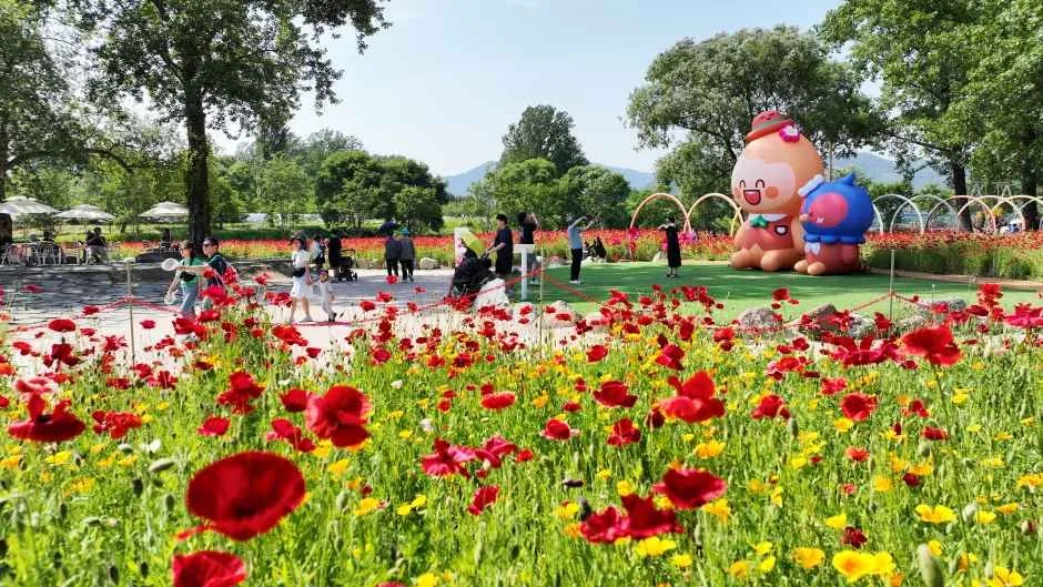 Colorful Garden 자라섬 꽃 페스타