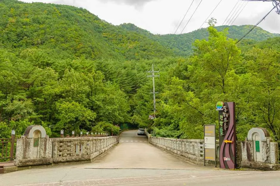 동해무릉건강숲 8