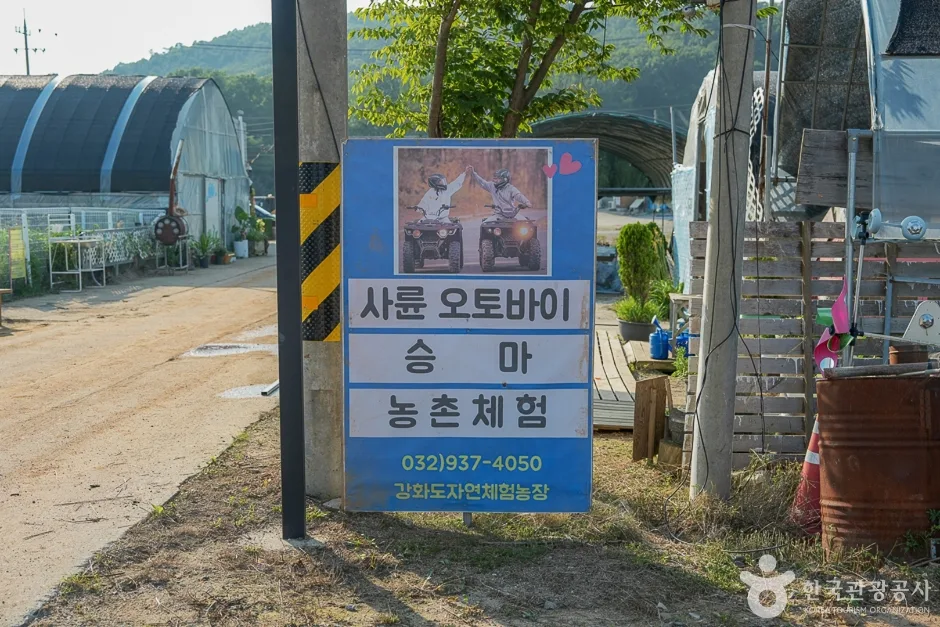 강화도 자연체험농장(21)
