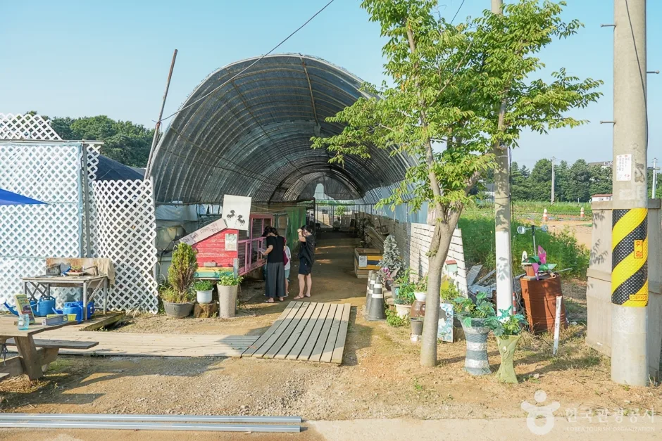 강화도 자연체험농장(4)