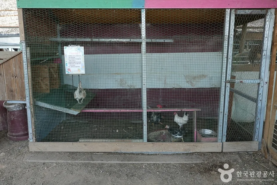 강화도 자연체험농장(8)