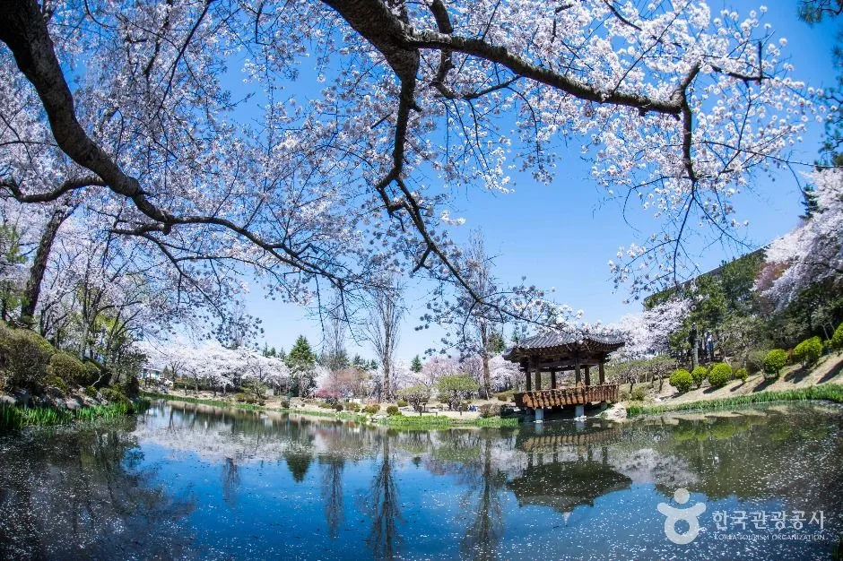 경주 보문관광단지_2