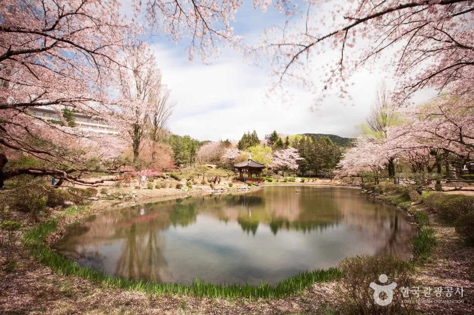 경주 보문관광단지_3
