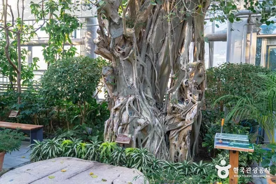 경북_경주_동궁원_12.jpg