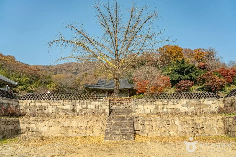 개천사