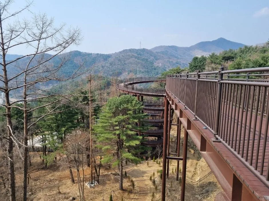 실외_트리탑 데크로드 (1)