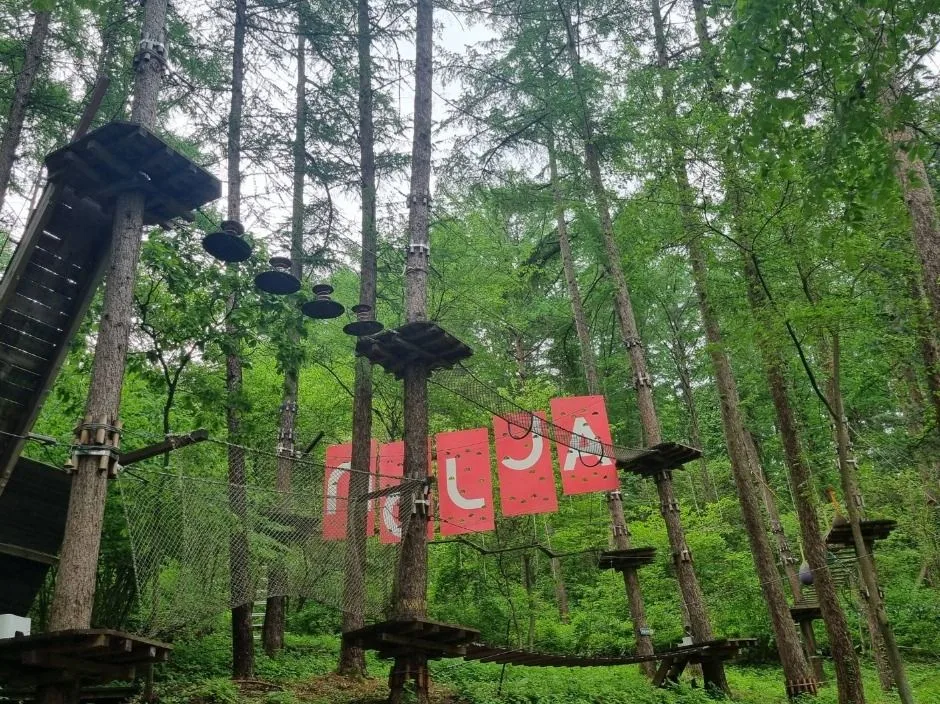 실외_포레스트 어드벤처 (1)