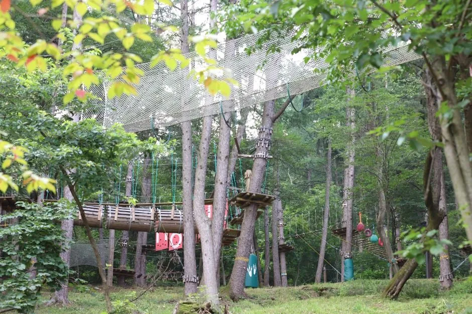 실외_포레스트 어드벤처 (2)
