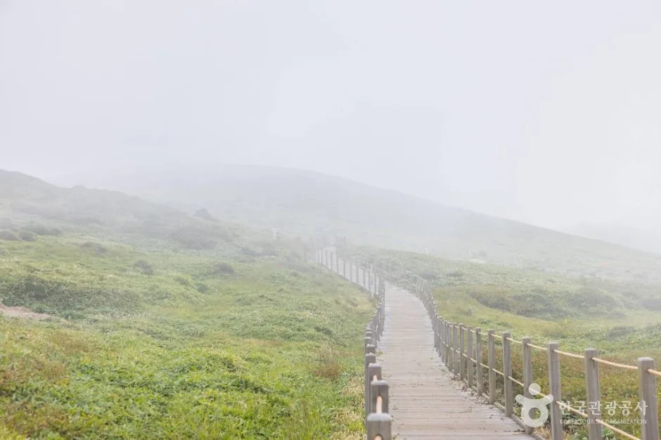 제주_한라산 영실 (9)