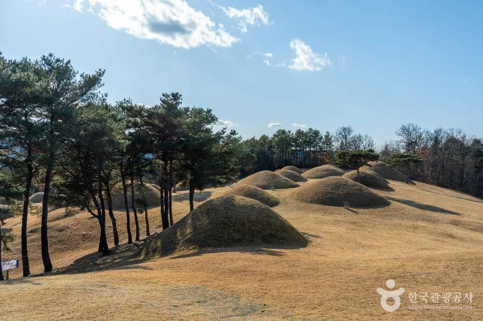 합천_합천 옥전 고분군 (1)