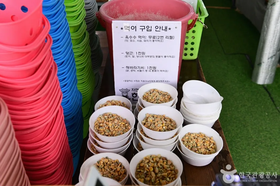 전남_여수_한우드림_미니축구장