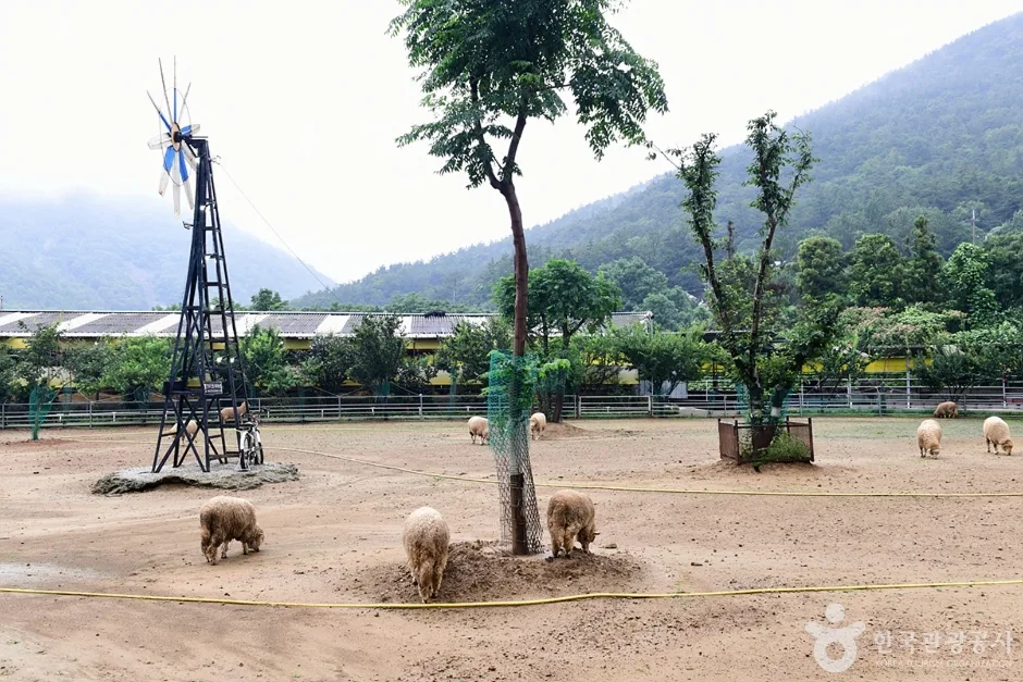 전남_여수_한우드림_포토존