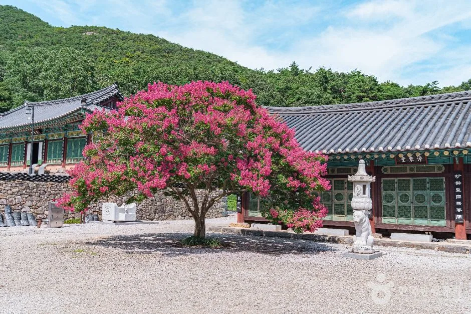 부안_개암사 (3)