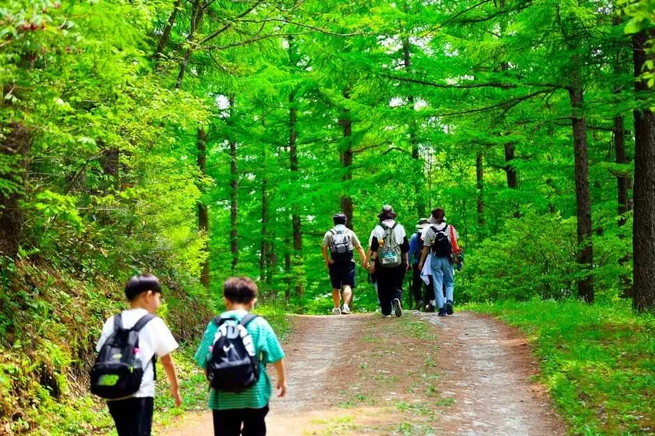 2026 제12회 하늘숲길 걷기축제 (4).jpg