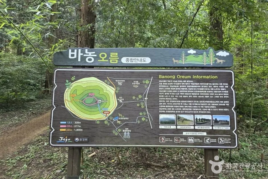바늘오름_e (3)