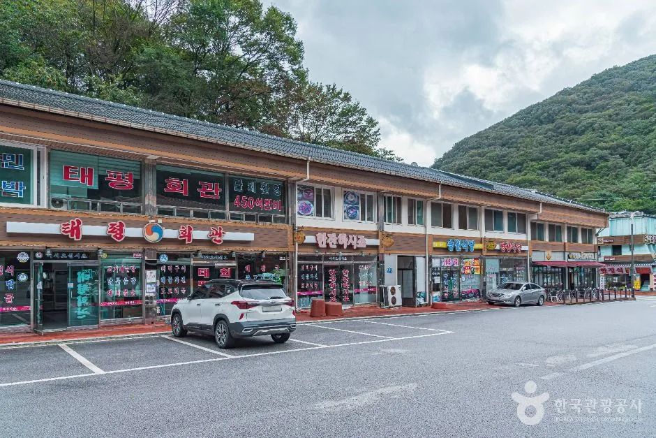 정읍_정읍 내장산 관광특구 (5)