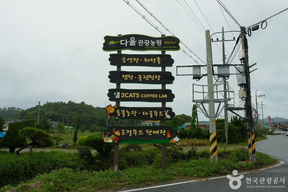 다울관광농원 (2)