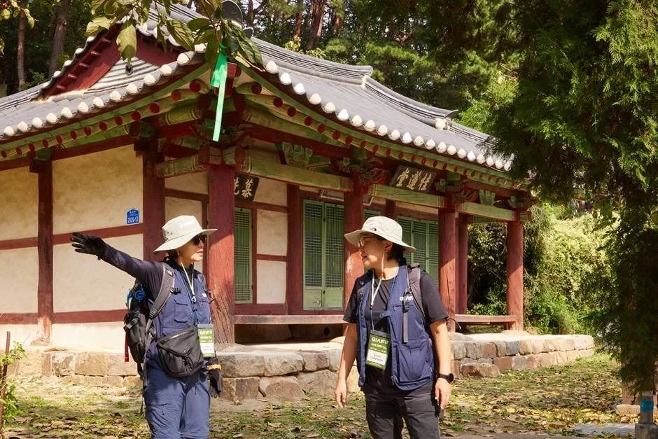 강릉국제아트페스티벌 (GIAF25) (2)