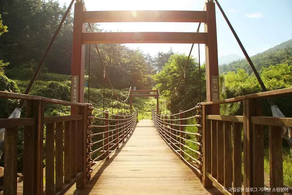 경북_경주_경주국립공원_외부_4.jpg