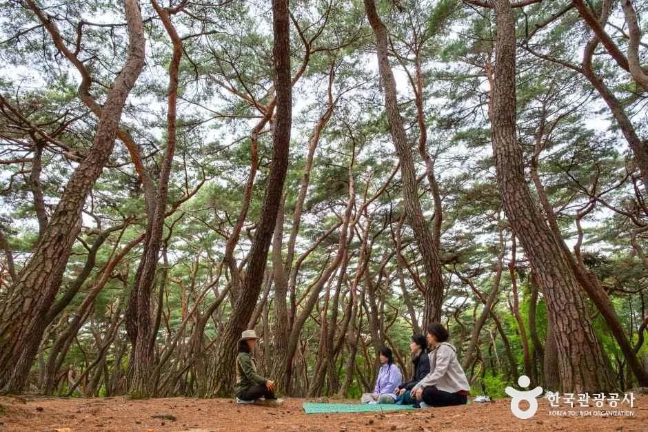 경북_경주_경주국립공원_외부_5.jpg