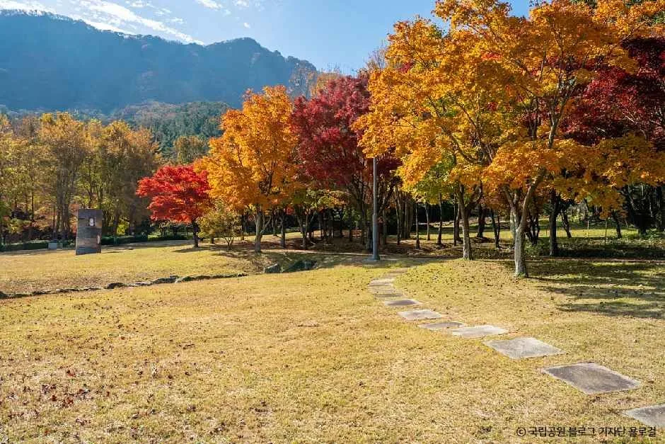 정읍_내장산조각공원 (2).jpg