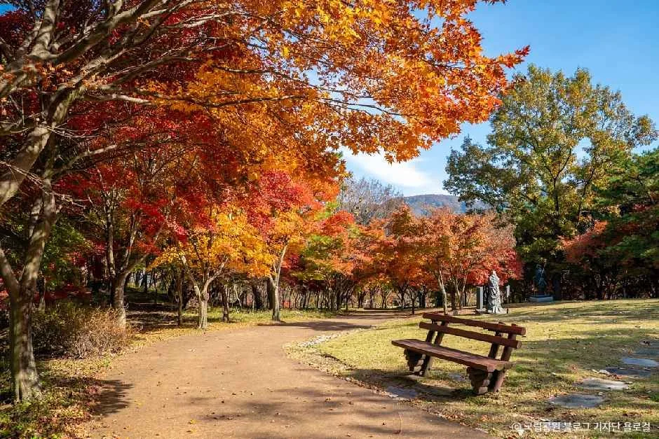 정읍_내장산조각공원 (3).jpg
