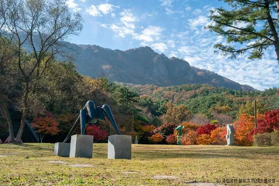 정읍_내장산조각공원 (5).jpg