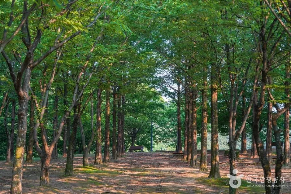 대구_옻골동산 (4)