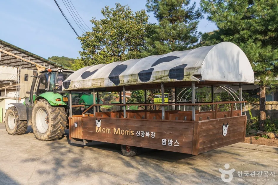 맘맘스 (9)