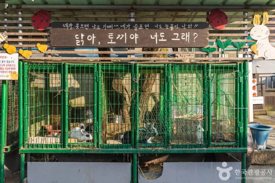 맘맘스 (10)