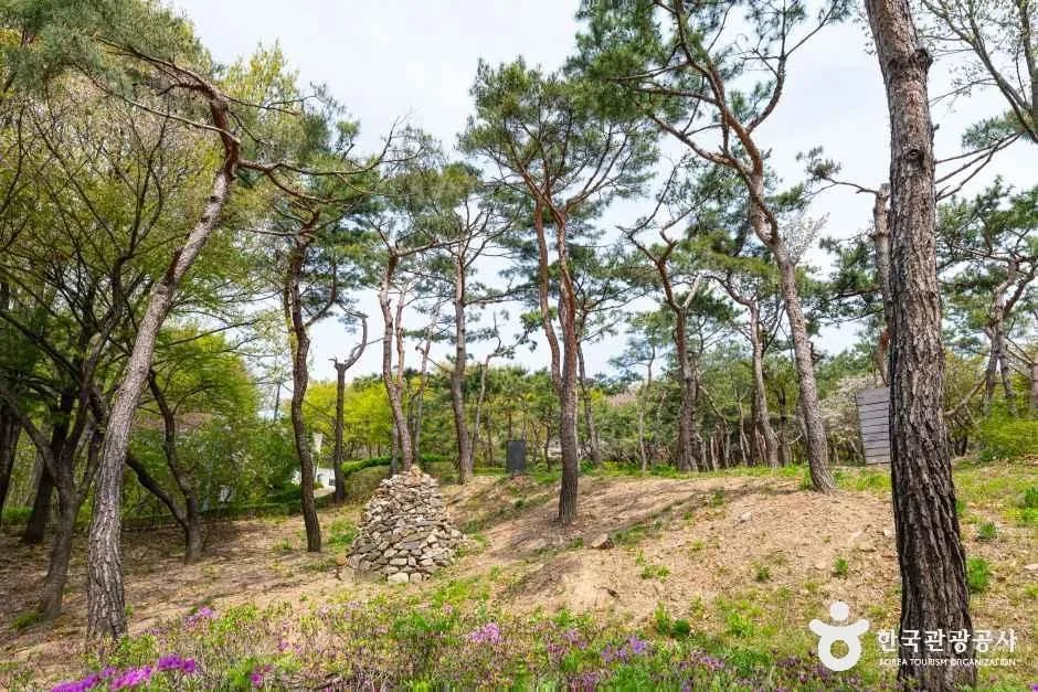 서울_남산 야외식물원 (3)