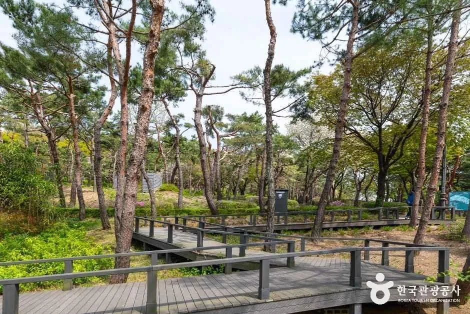 서울_남산 야외식물원 (4)