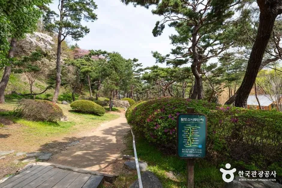 서울_남산 야외식물원 (5)