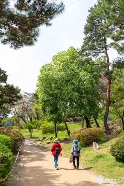 서울_남산 야외식물원 (6)