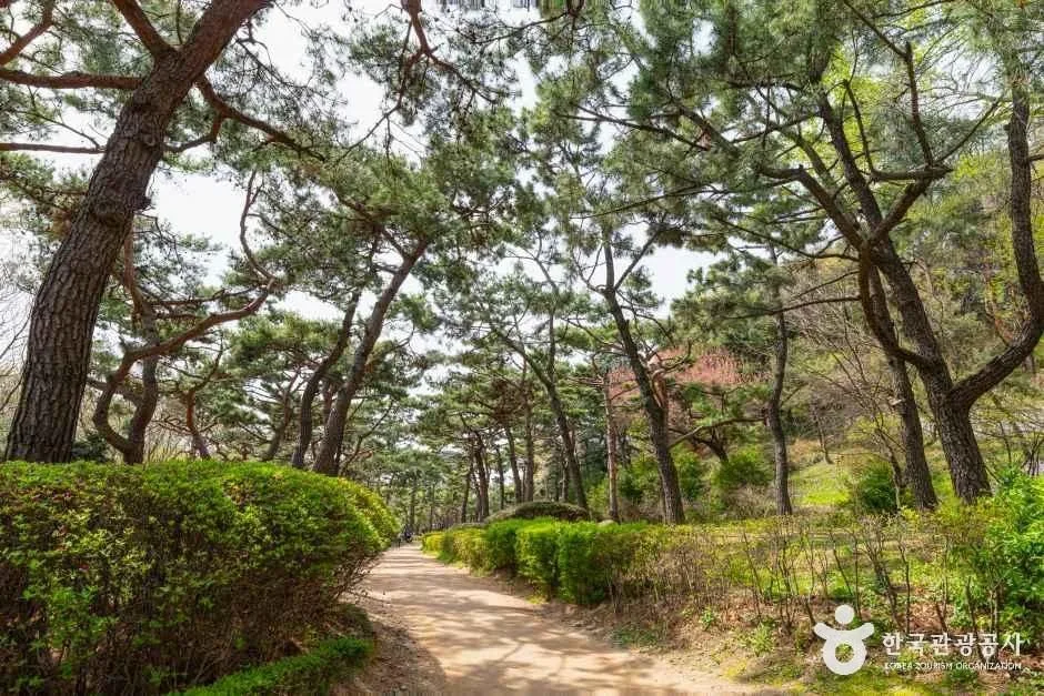 남산야외식물원_3.jpg