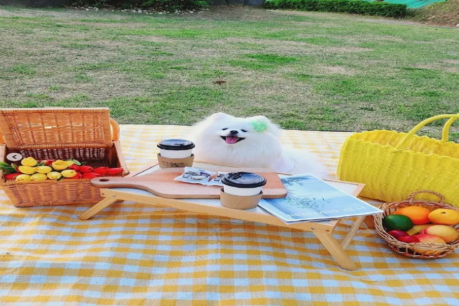 관광두레 주민사업체 충남 천안 누리마루숲 6