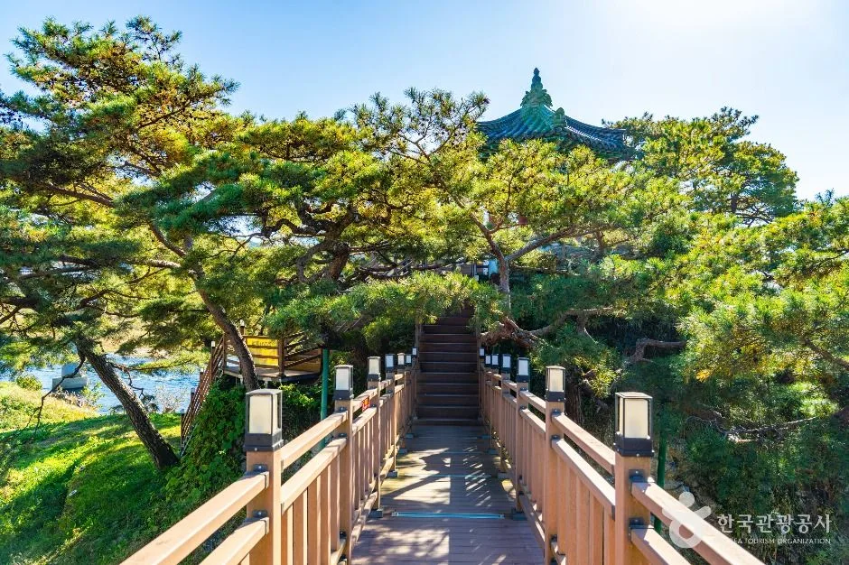영동군_강선대 (2)