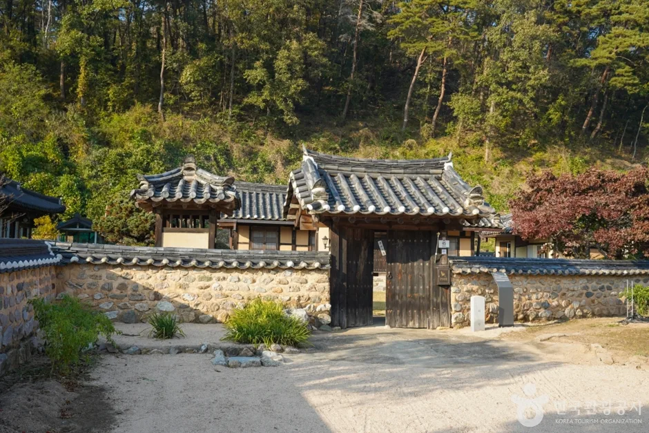 치헌