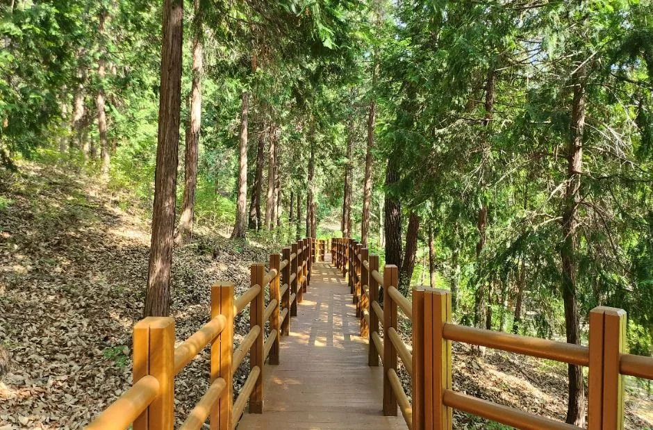 울주_국립대운산치유의숲 (5)