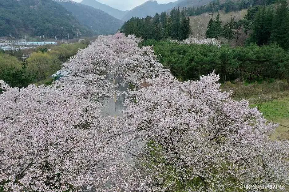 정읍_내장산국립공원 (5).jpg