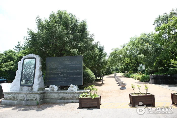 몸과 마음을 치유하는 에코 테라피